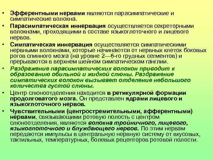  • Эфферентными нервами являются парасимпатические и симпатические волокна. • Парасимпатическая иннервация осуществляется секреторными