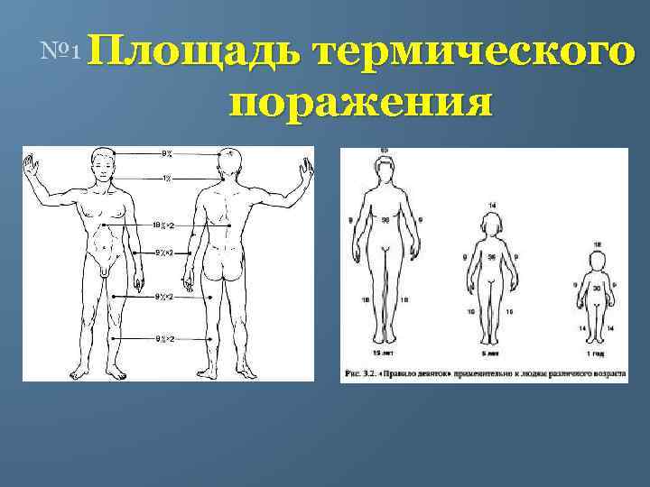 № 1 Площадь термического поражения 