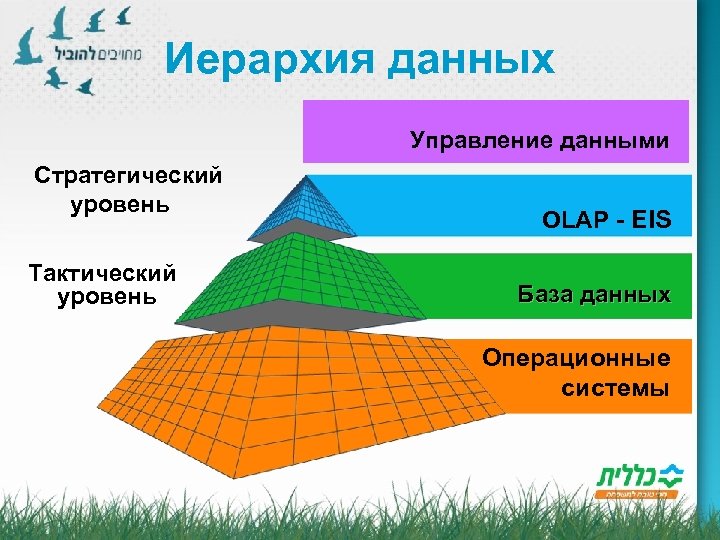 Иерархия данных Управление данными Стратегический уровень Тактический уровень OLAP - EIS База данных Операционные