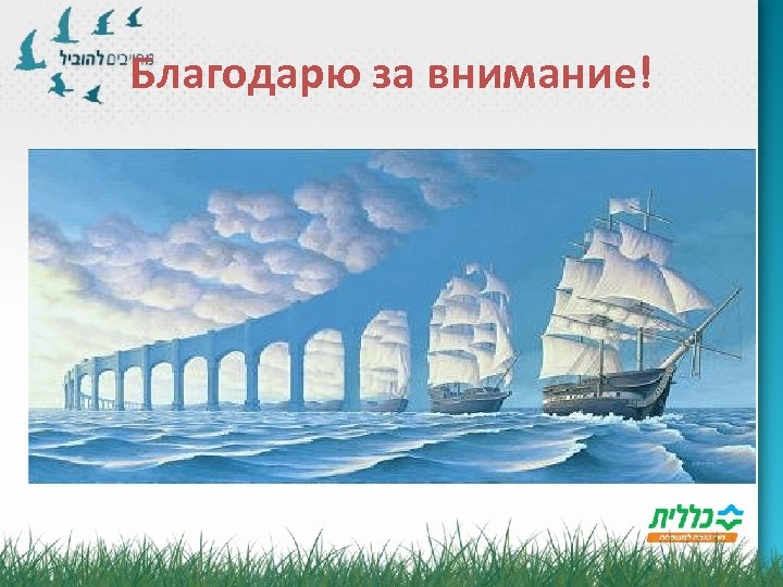 Благодарю за внимание! 