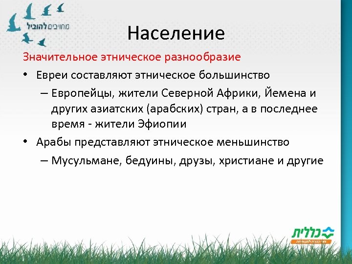 Население Значительное этническое разнообразие • Евреи составляют этническое большинство – Европейцы, жители Северной Африки,