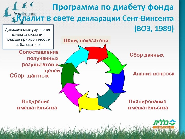  Программа по диабету фонда Клалит в свете декларации Сент-Винсента Динамические улучшение качества оказания