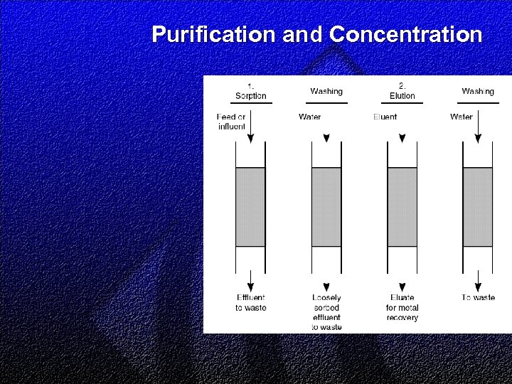 Purification and Concentration 