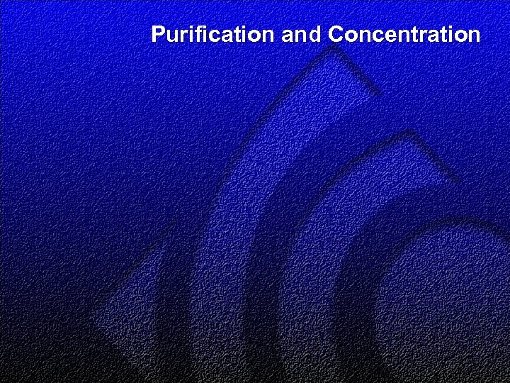 Purification and Concentration 