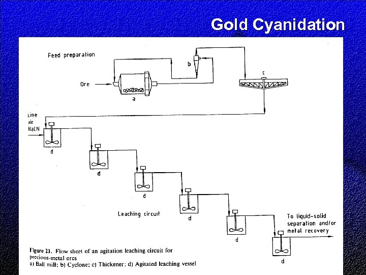 Gold Cyanidation 