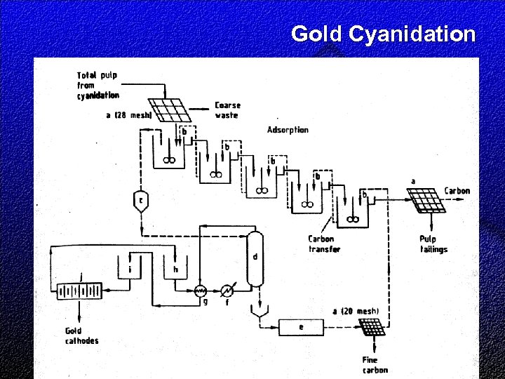 Gold Cyanidation 