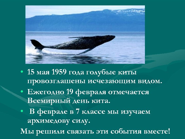  • 15 мая 1959 года голубые киты провозглашены исчезающим видом. • Ежегодно 19