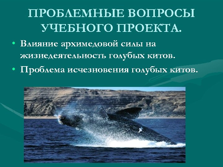 ПРОБЛЕМНЫЕ ВОПРОСЫ УЧЕБНОГО ПРОЕКТА. • Влияние архимедовой силы на жизнедеятельность голубых китов. • Проблема