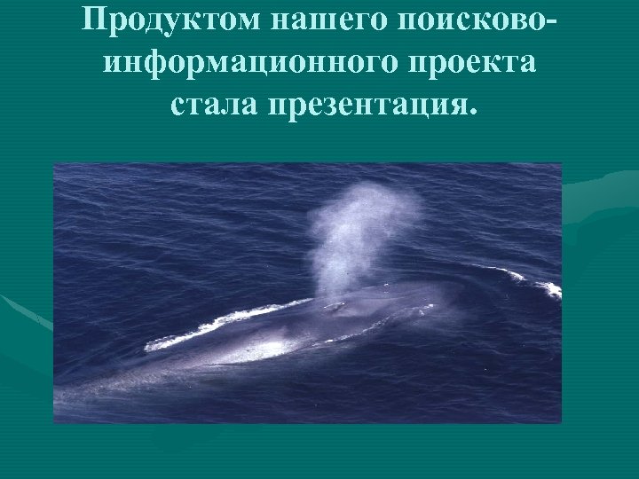 Продуктом нашего поисковоинформационного проекта стала презентация. 