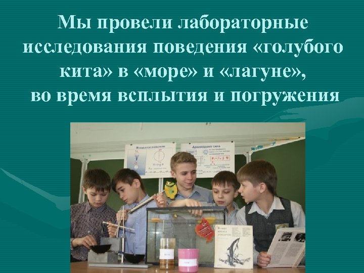 Мы провели лабораторные исследования поведения «голубого кита» в «море» и «лагуне» , во время