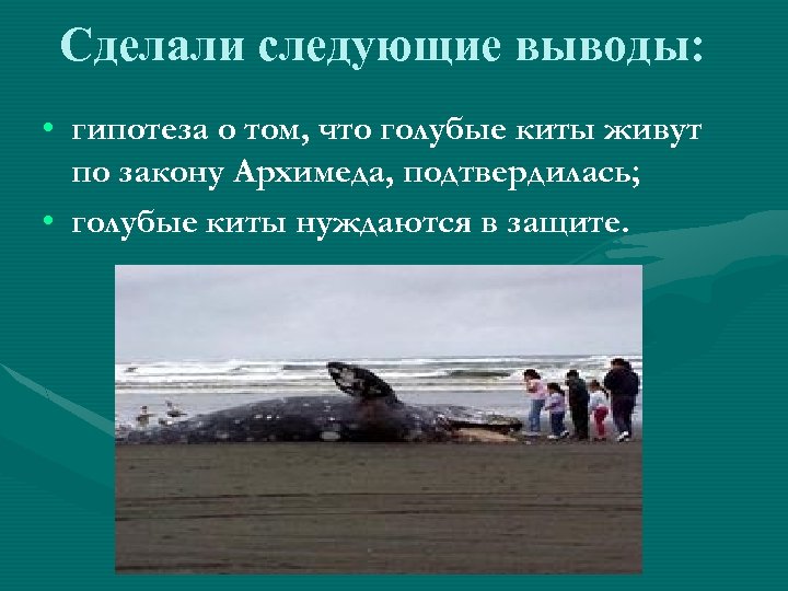 Сделали следующие выводы: • гипотеза о том, что голубые киты живут по закону Архимеда,