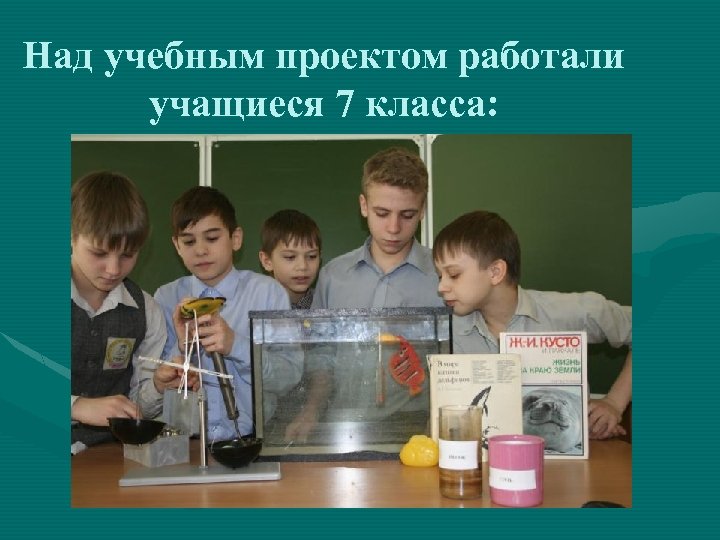 Над учебным проектом работали учащиеся 7 класса: 