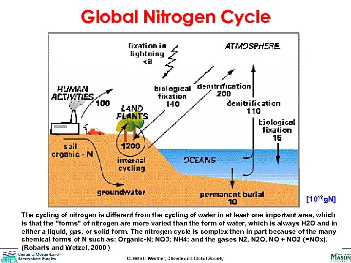 Global Nitrogen Cycle [1012 g. N] The cycling of nitrogen is different from the