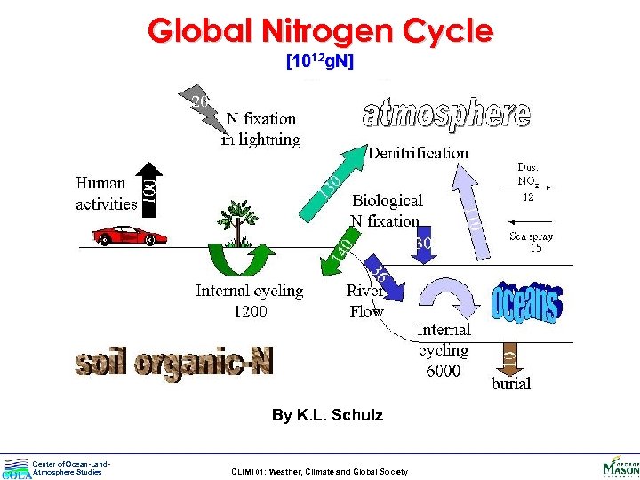 Global Nitrogen Cycle [1012 g. N] By K. L. Schulz Center of Ocean-Land. Atmosphere