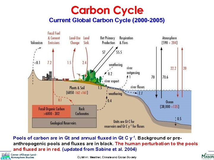 Carbon Cycle Current Global Carbon Cycle (2000 -2005) Pools of carbon are in Gt