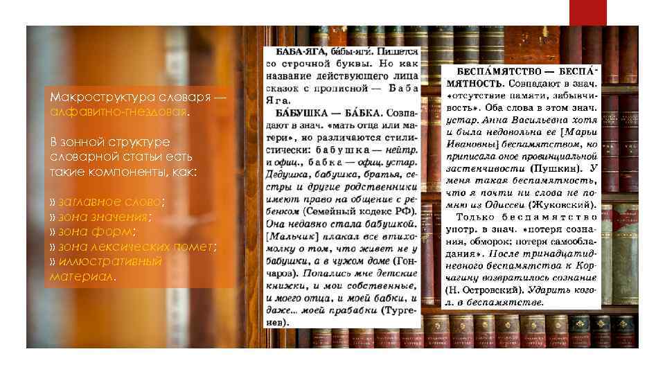 Макроструктура словаря — алфавитно гнездовая. В зонной структуре словарной статьи есть такие компоненты, как: