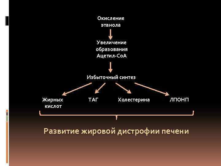 Окисление этанола Увеличение образования Ацетил-Со. А Избыточный синтез Жирных кислот ТАГ Холестерина ЛПОНП Развитие