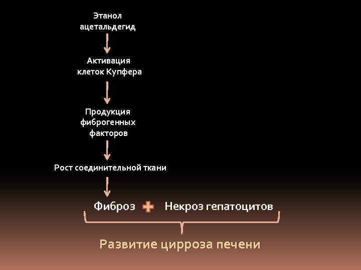 Этанол ацетальдегид Активация клеток Купфера Продукция фиброгенных факторов Рост соединительной ткани Фиброз Некроз гепатоцитов