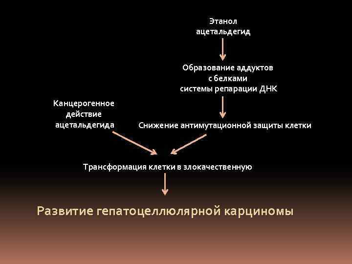 Этанол ацетальдегид Образование аддуктов с белками системы репарации ДНК Канцерогенное действие ацетальдегида Снижение антимутационной