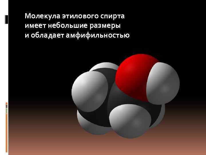 Молекула этилового спирта имеет небольшие размеры и обладает амфифильностью 