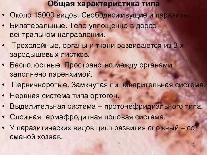 Общая характеристика типа • Около 15000 видов. Свободноживущие и паразиты. • Билатеральные. Тело уплощенно