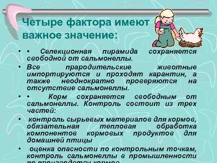 Четыре фактора имеют важное значение: • • Селекционная пирамида сохраняется свободной от сальмонеллы. •