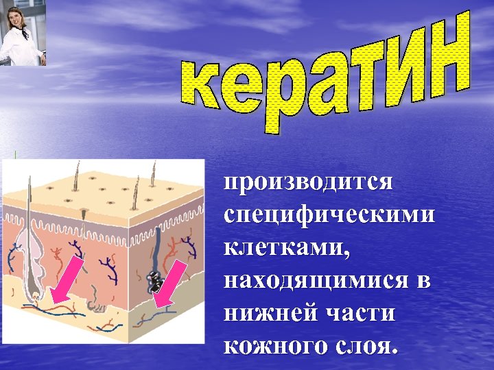 производится специфическими клетками, находящимися в нижней части кожного слоя. 