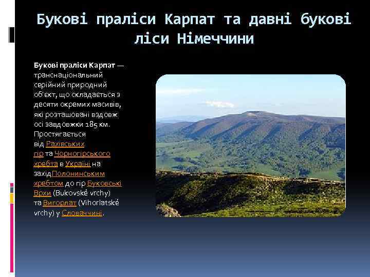 Букові праліси Карпат та давні букові ліси Німеччини Букові праліси Карпат — транснаціональний серійний
