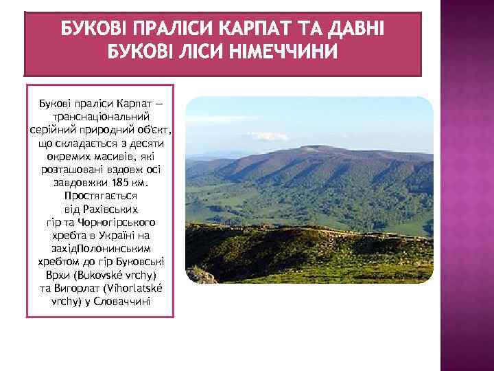 Букові праліси Карпат — транснаціональний серійний природний об'єкт, що складається з десяти окремих масивів,