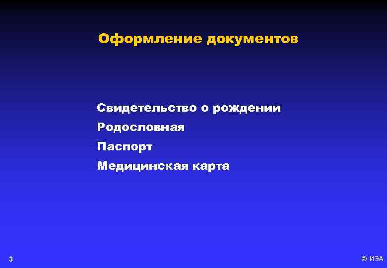 Оформление документов Свидетельство о рождении Родословная Паспорт Медицинская карта 3 © ИЭА 