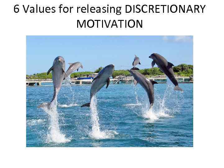 6 Values for releasing DISCRETIONARY MOTIVATION 