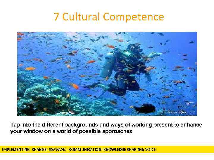 7 Cultural Competence Tap into the different backgrounds and ways of working present to