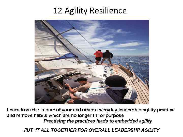 12 Agility Resilience Learn from the impact of your and others everyday leadership agility