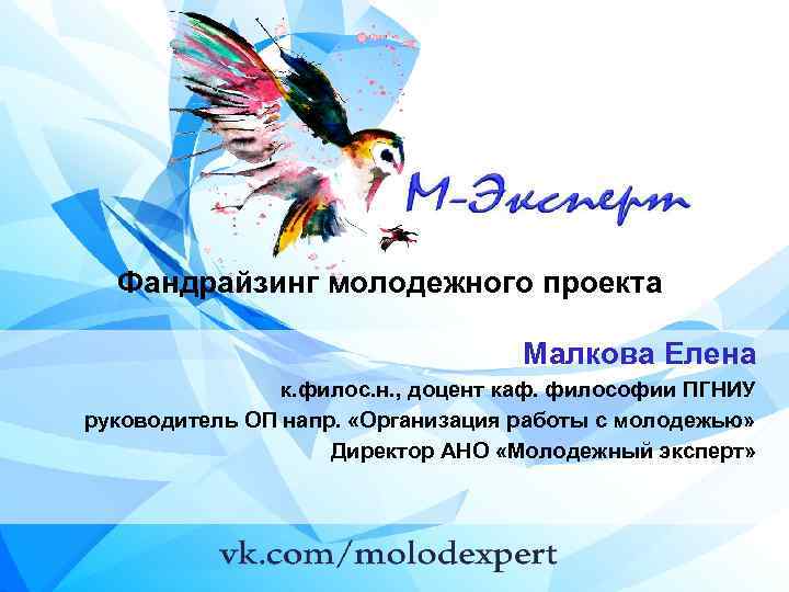 Фандрайзинг молодежного проекта Малкова Елена к. филос. н. , доцент каф. философии ПГНИУ руководитель