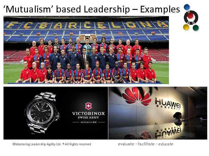 ‘Mutualism’ based Leadership – Examples ©Mastering Leadership Agility Ltd. ® All Rights reserved evaluate