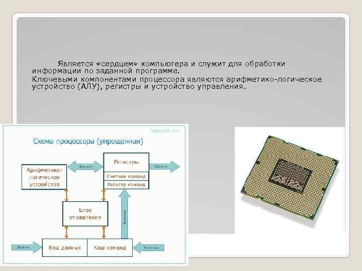 Является «сердцем» компьютера и служит для обработки информации по заданной программе. Ключевыми компонентами процессора