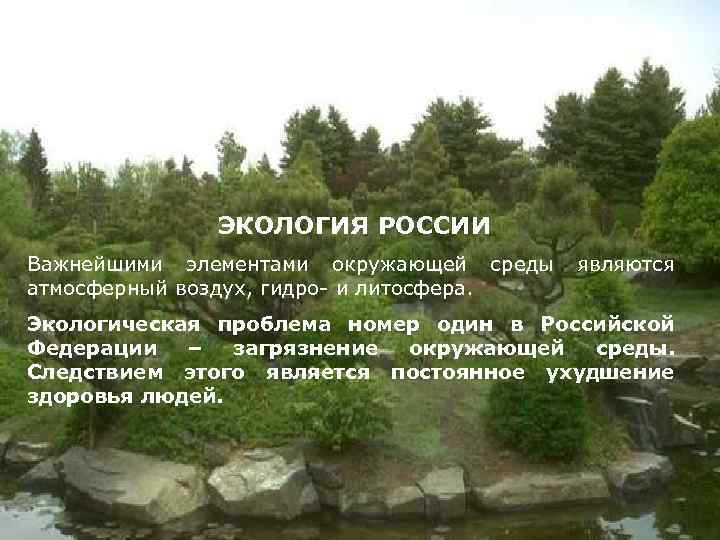 ЭКОЛОГИЯ РОССИИ Важнейшими элементами окружающей среды являются атмосферный воздух, гидро- и литосфера. Экологическая проблема