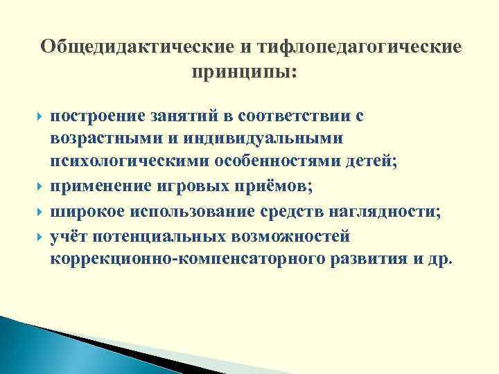 Общедидактические и тифлопедагогические принципы: построение занятий в соответствии с возрастными и индивидуальными психологическими особенностями