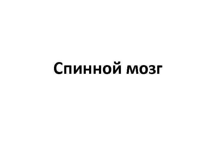 Спинной мозг 