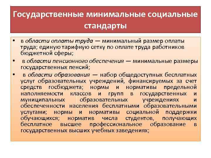 Государственные минимальные социальные стандарты • в области оплаты труда — минимальный размер оплаты труда;