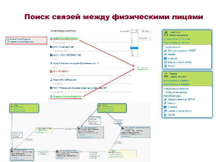 Поиск связей между физическими лицами 