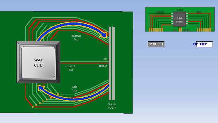 address RAM data 256 BYTES set enable address bus 01100001 Scott CPU set control