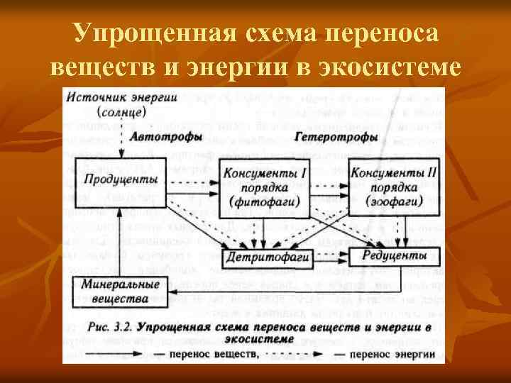 Предложите схему показывающую перенос энергии в экосистеме