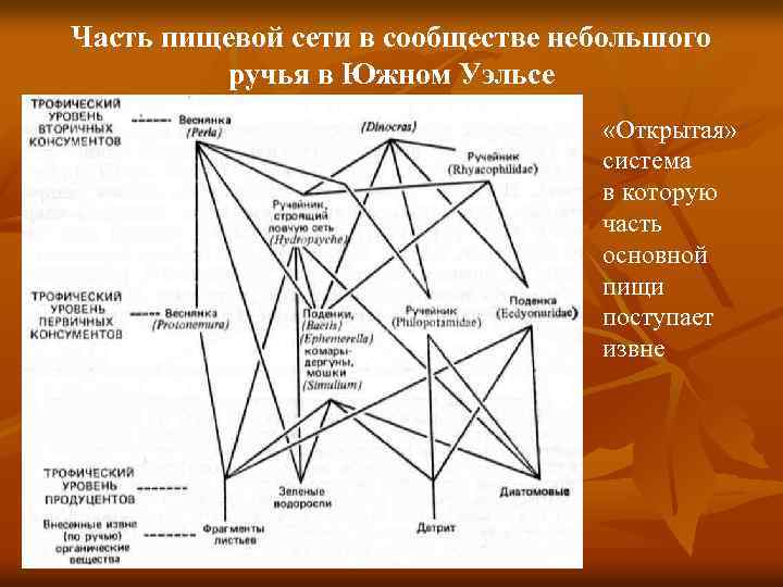 Пищевая сеть в аквариуме схема