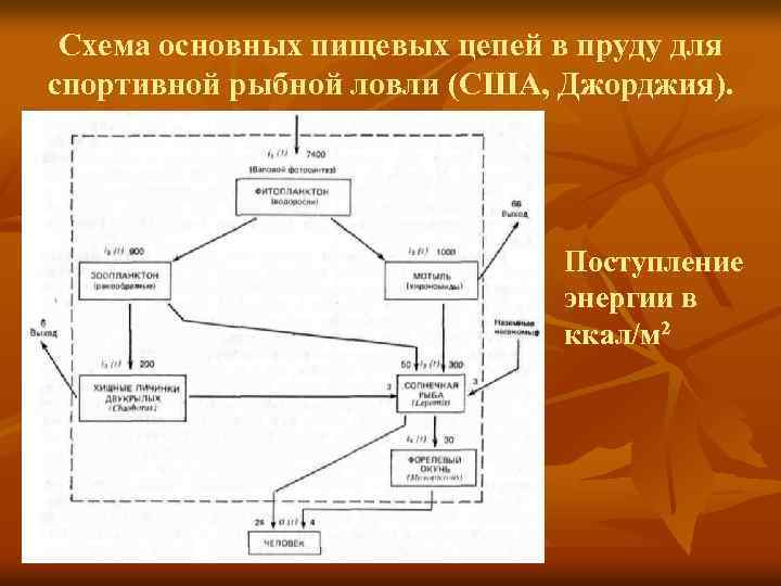 Виды энергии поступающие в квартиру извне схема экология