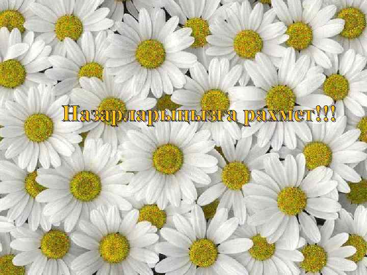 Назарларыңызға рахмет!!! 