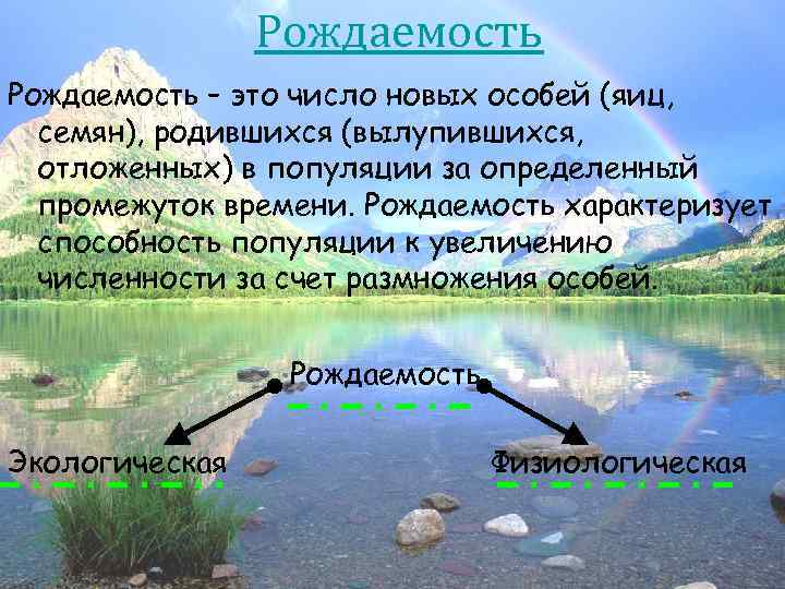 Рождаемость – это число новых особей (яиц, семян), родившихся (вылупившихся, отложенных) в популяции за