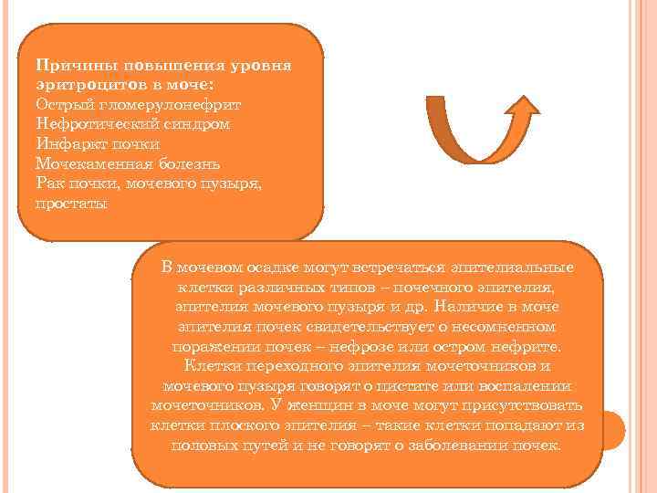 Причины повышения уровня эритроцитов в моче: Острый гломерулонефрит Нефротический синдром Инфаркт почки Мочекаменная болезнь