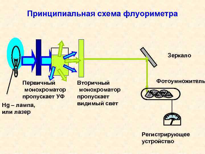 Принципиальная схема спектрофлуориметра