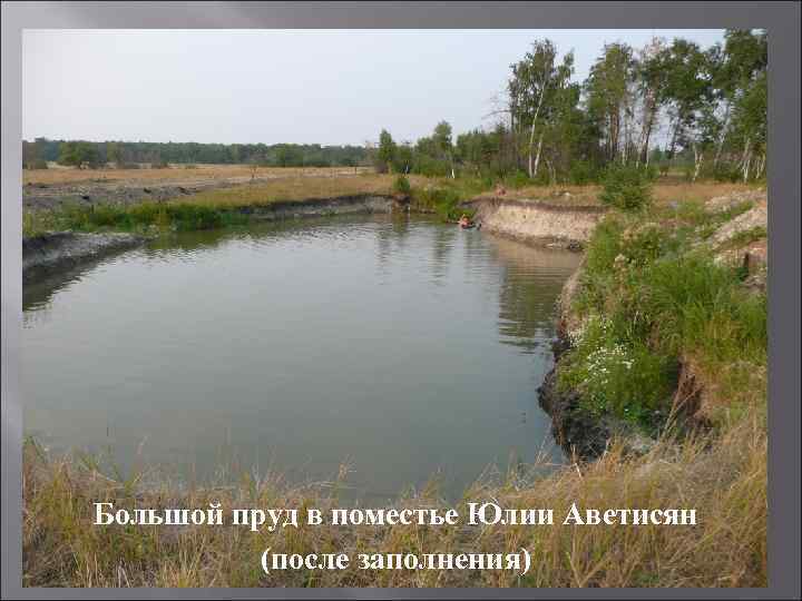 Большой пруд в поместье Юлии Аветисян (после заполнения) 